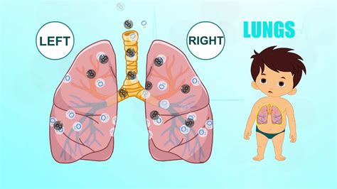 At what age are a child's lungs fully developed